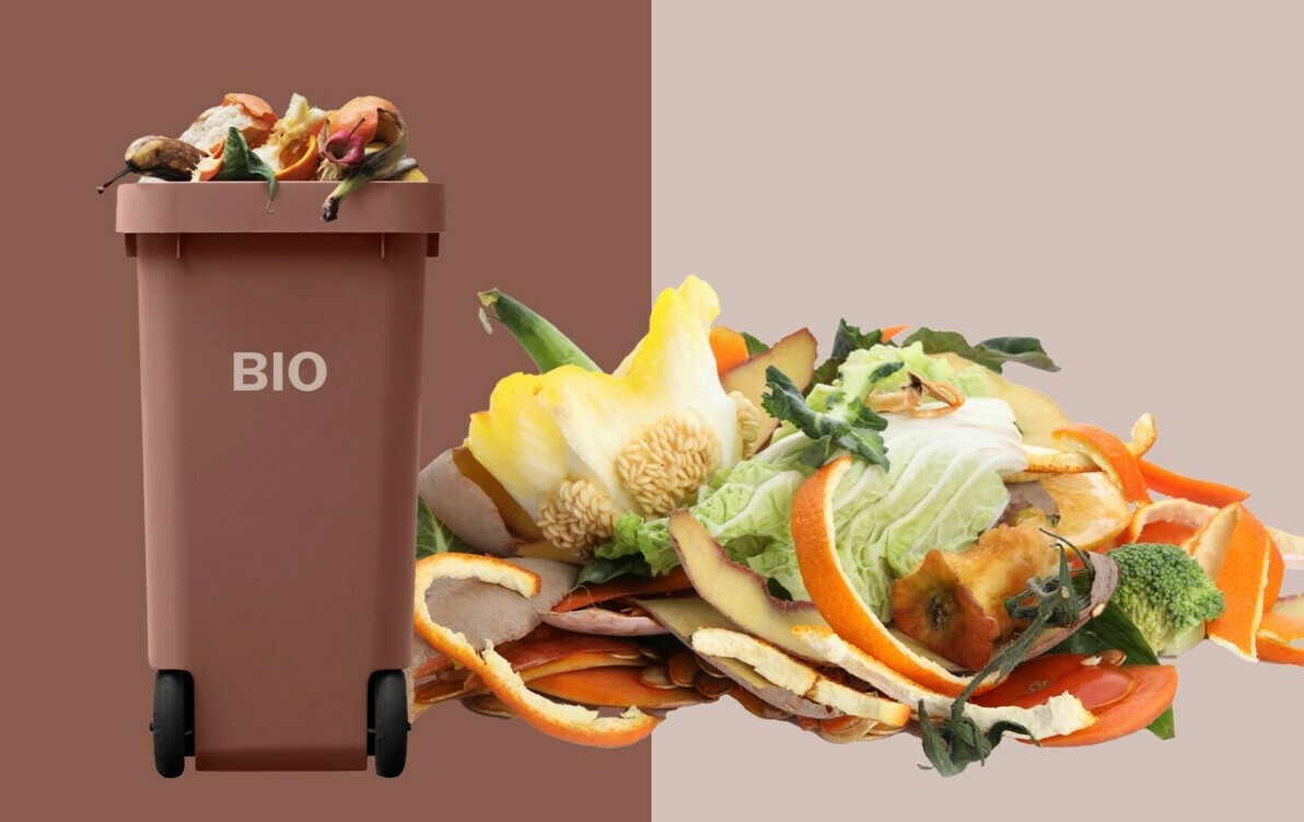 Zdjęcie do Harmonogram odbioru odpad&oacute;w BIO